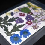 Boeket "Multicolore"