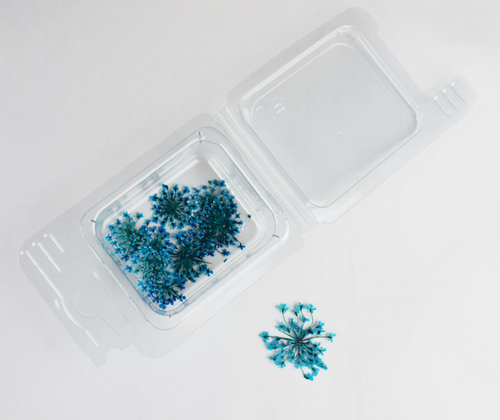 Fiori secchi Fiorellini blu