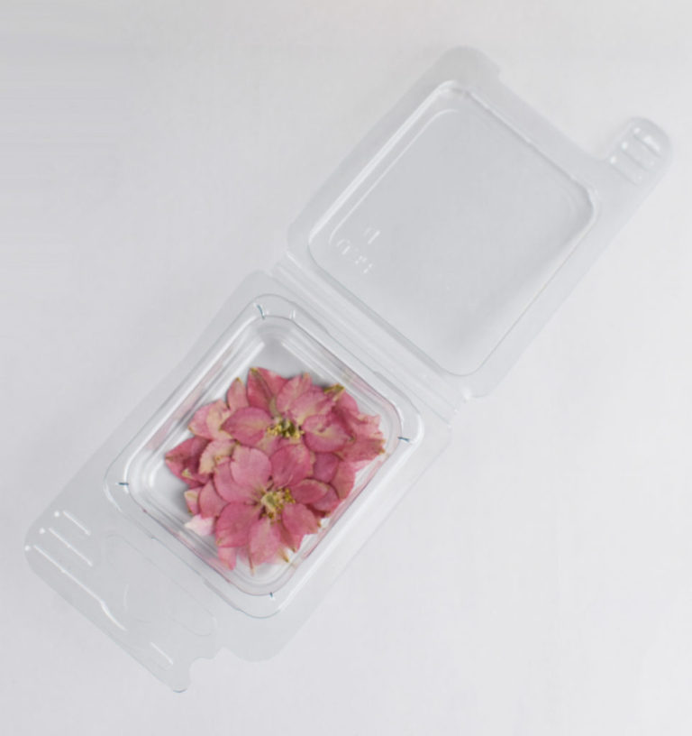 Gedroogde Bloemen – Poederroze Bloemen (Rosa Cipria)
