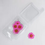 Gedroogde kamillebloemen