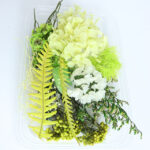 Boeket van 8 gedroogde bloemen van verschillende variëteiten van groene kleur voor harssieraden en decoraties