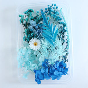 Boeket van 10 gedroogde bloemen van verschillende soorten blauwe kleur voor harssieraden en decoraties.